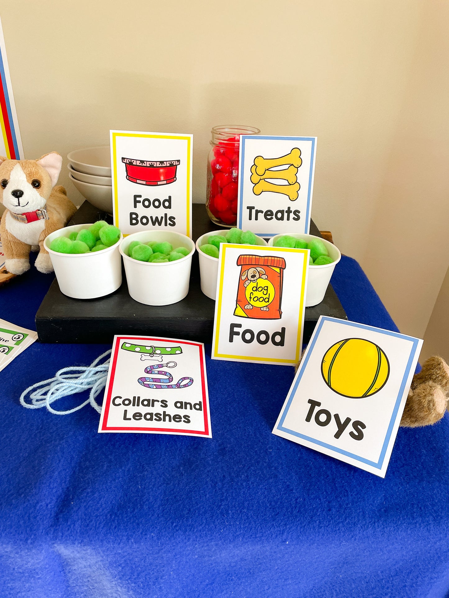 Pet Store Pretend Play - Printable PDF