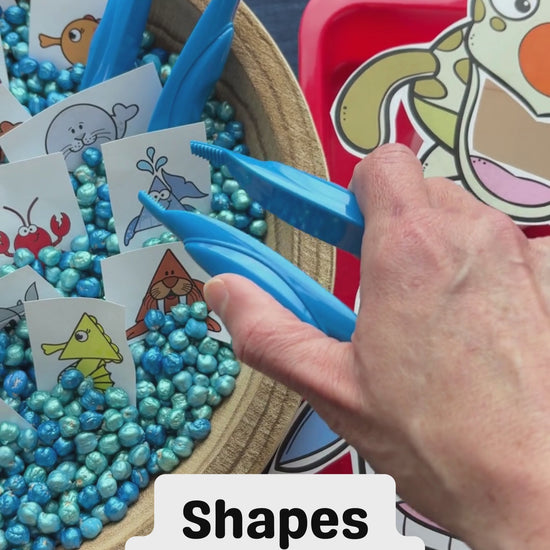Summer preschool curriculum to get your child ready for Kindergarten by Confetti Crate. 